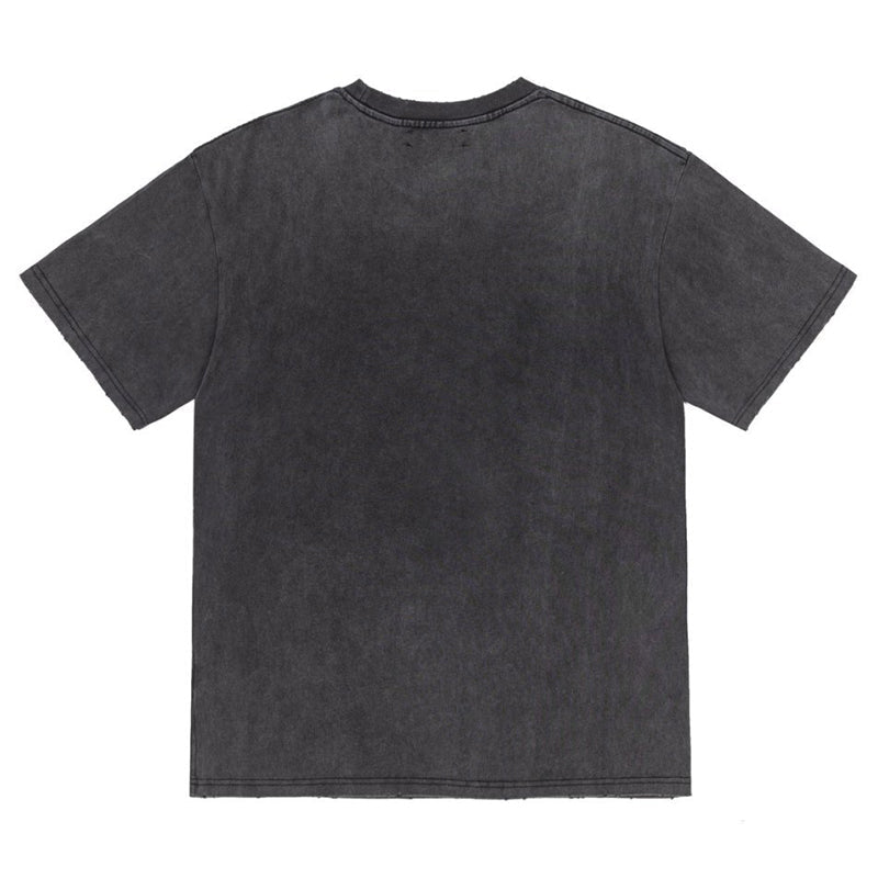 AMlRl High Lion T-Shirt AMIRI
