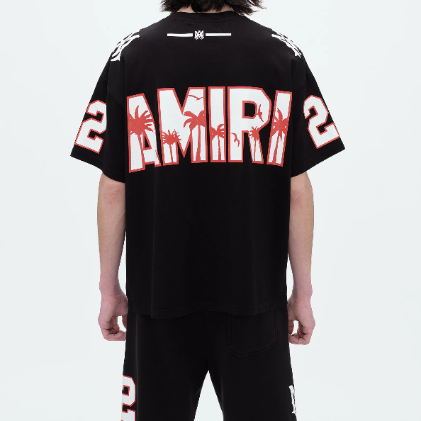 AMIRI T-Shirt AMIRI